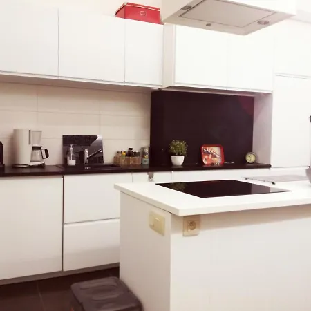 Brugmann Loft * Brussels